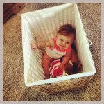 How to Contain a Crawler!