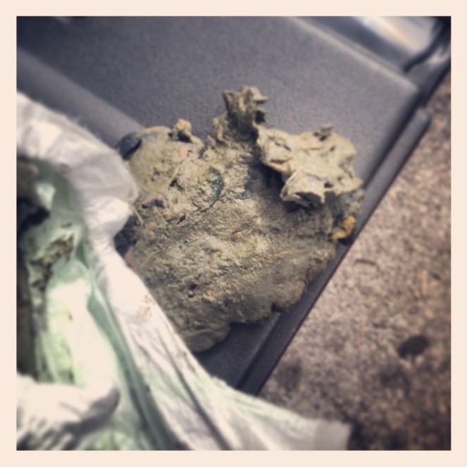 Why yes, that IS a pile of human poop on my tailgate!