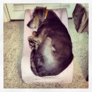 Bad Big Brother Smoke